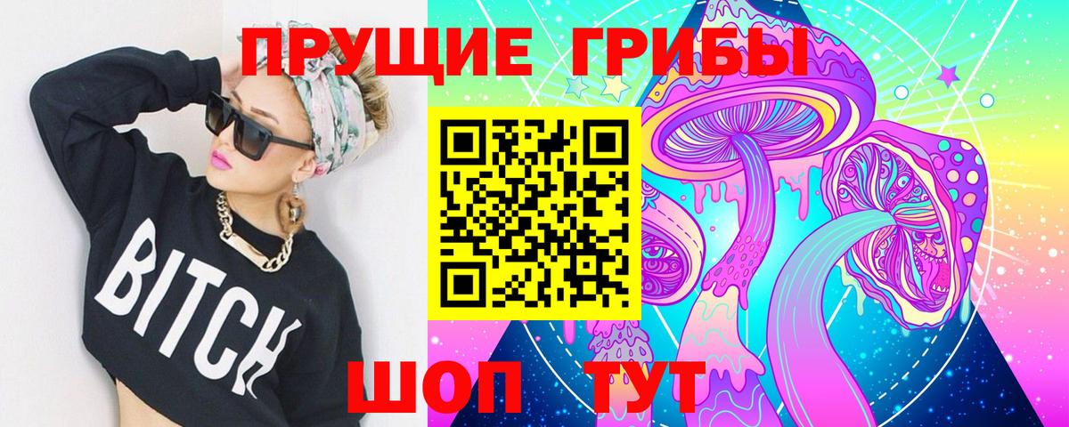 Псилоцибиновые грибы GOLDEN TEACHER  где купить   Псилоцибиновые грибы Cubensis  Унеча  Вход с VPN 